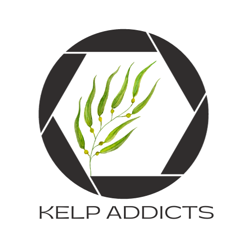 Kelp Addicts 