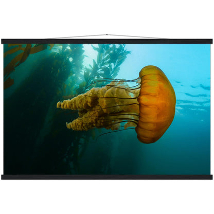 The Monterey Sea Nettle