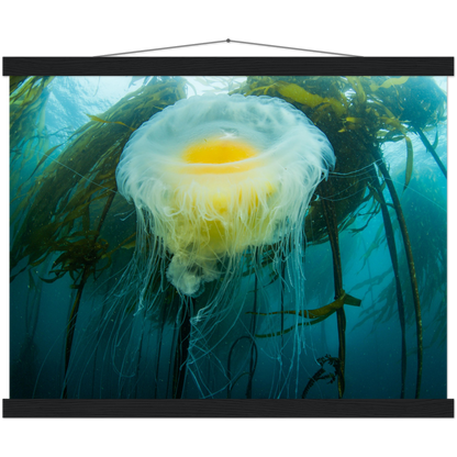 Egg-yoke Jelly & Bull Kelp