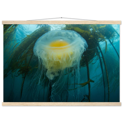 Egg-yoke Jelly & Bull Kelp