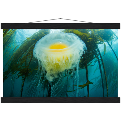 Egg-yoke Jelly & Bull Kelp